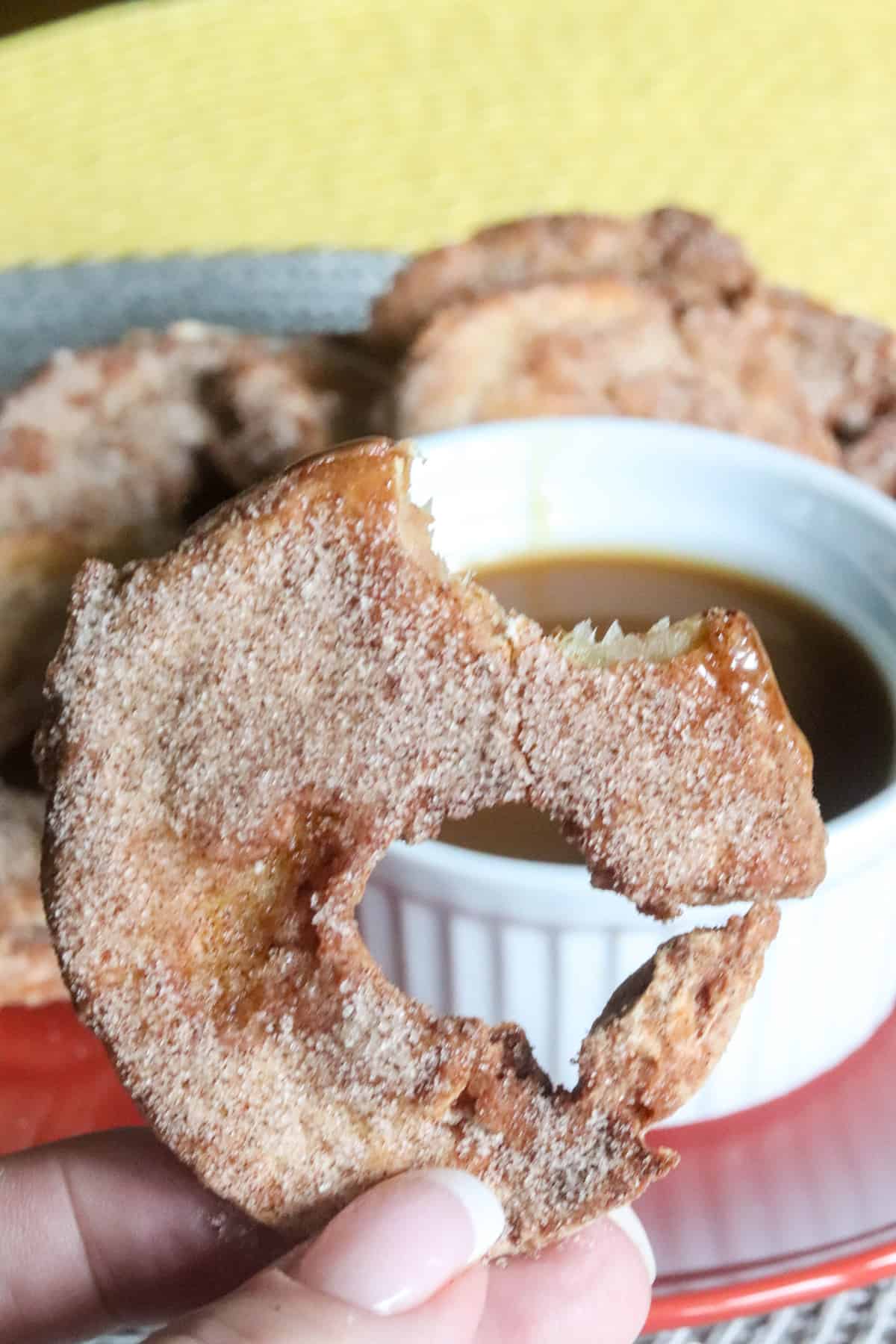 Air Fryer Cinnamon Apple Rings