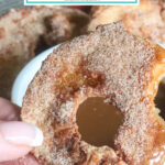 Air Fryer Cinnamon Apple Rings easy snack idea