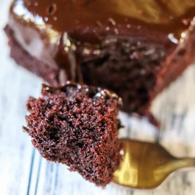 Autumn Spice Mocha Cake with Coffee Ganache Featured Image