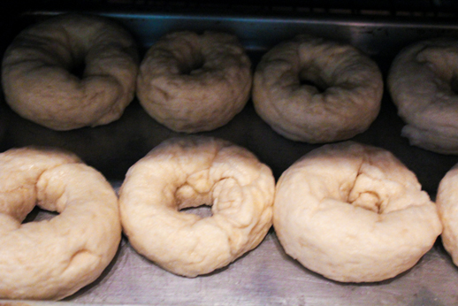 Homemade Bagels