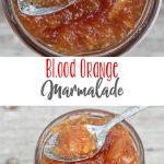 Blood Orange Marmalade