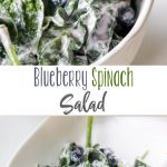 Blueberry Spinach Salad