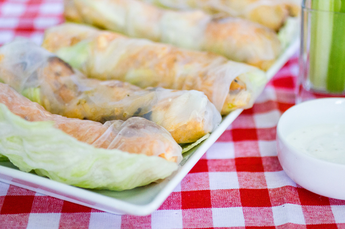 Buffalo Chicken Spring Rolls