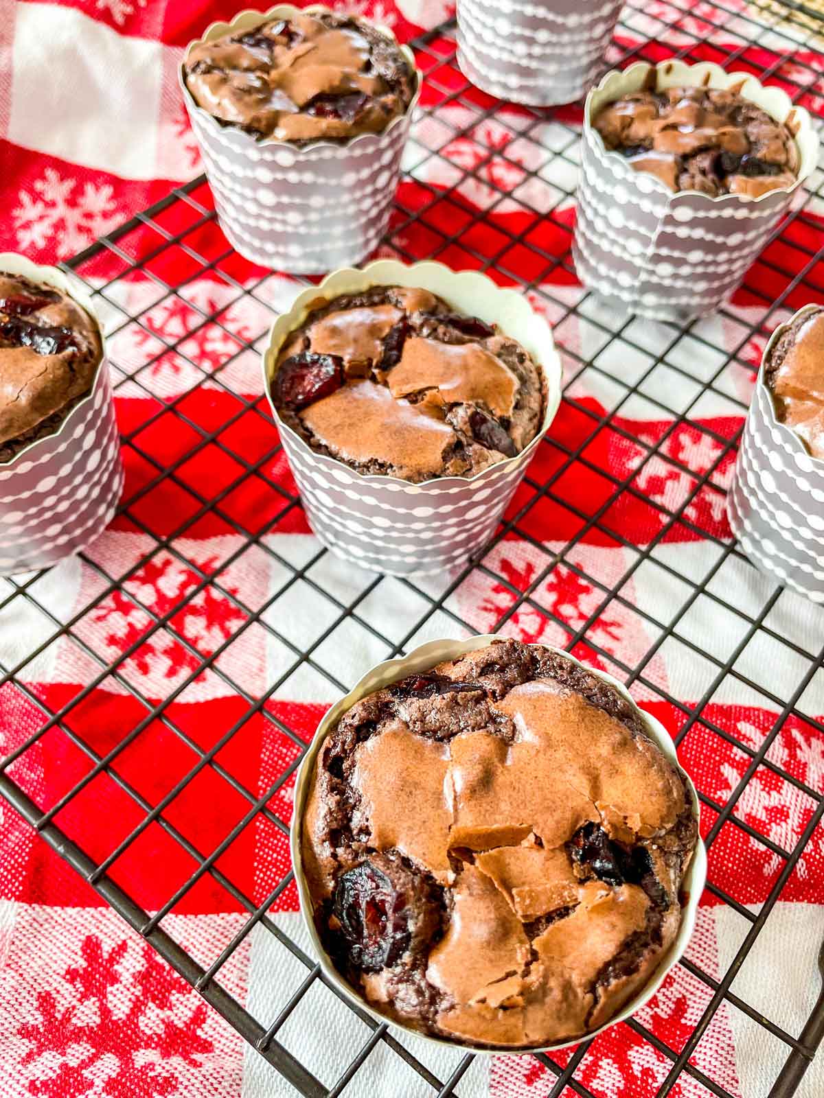 Chocolate Brownie Cranberry Muffins