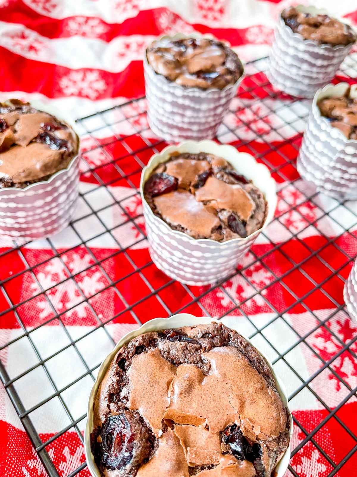 Chocolate Brownie Cranberry Muffins