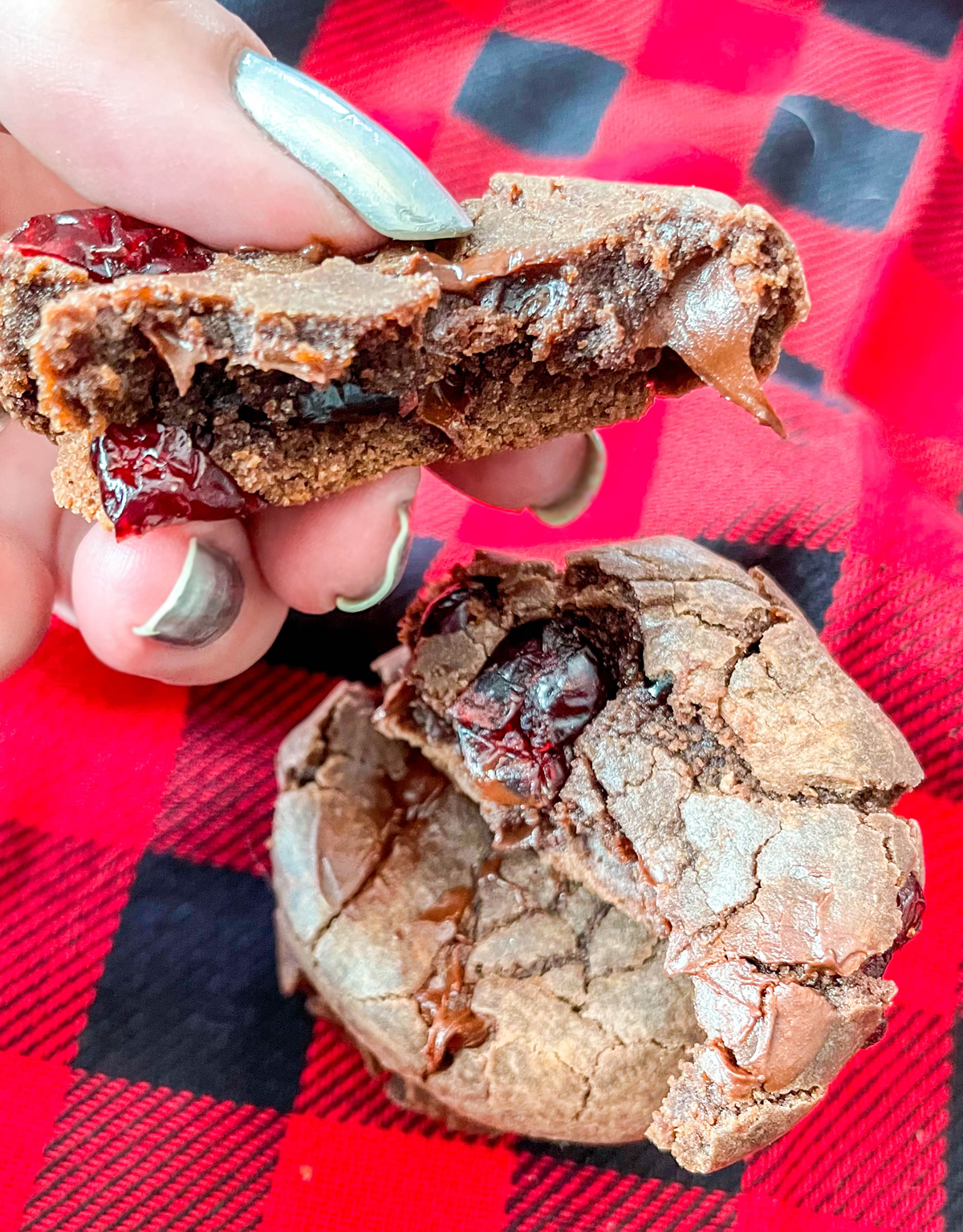 Chocolate Cranberry Cookies