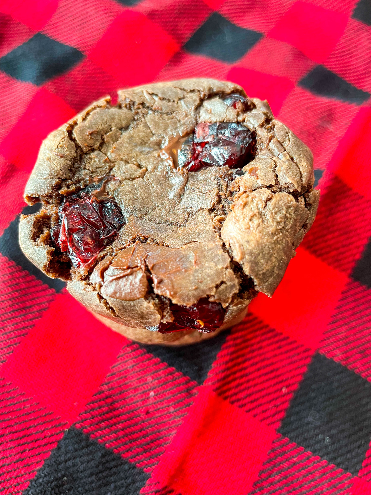 Chocolate Cranberry Cookies