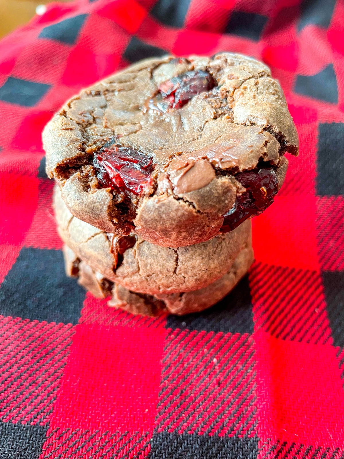 Chocolate Cranberry Cookies