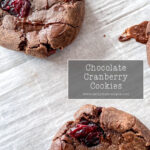 Chocolate Cranberry Cookies