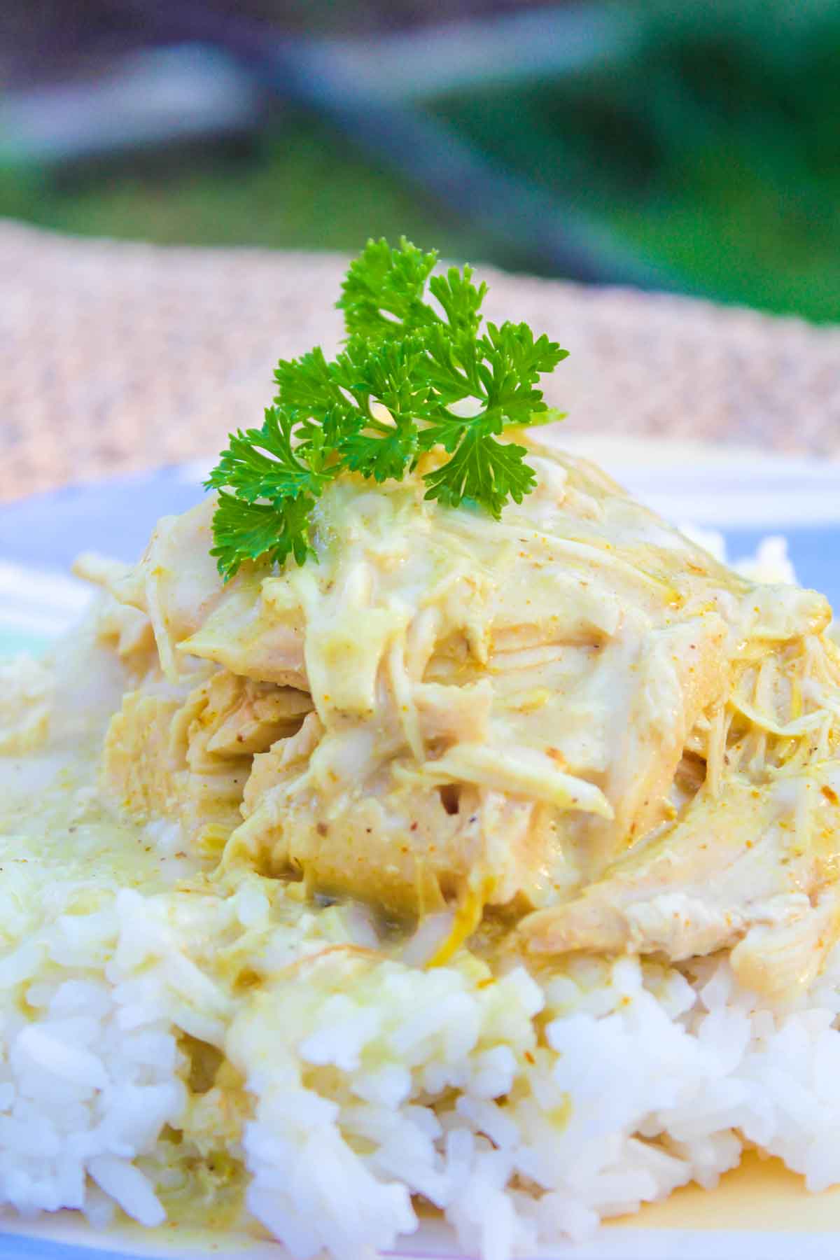 crockpot curry chicken close up
