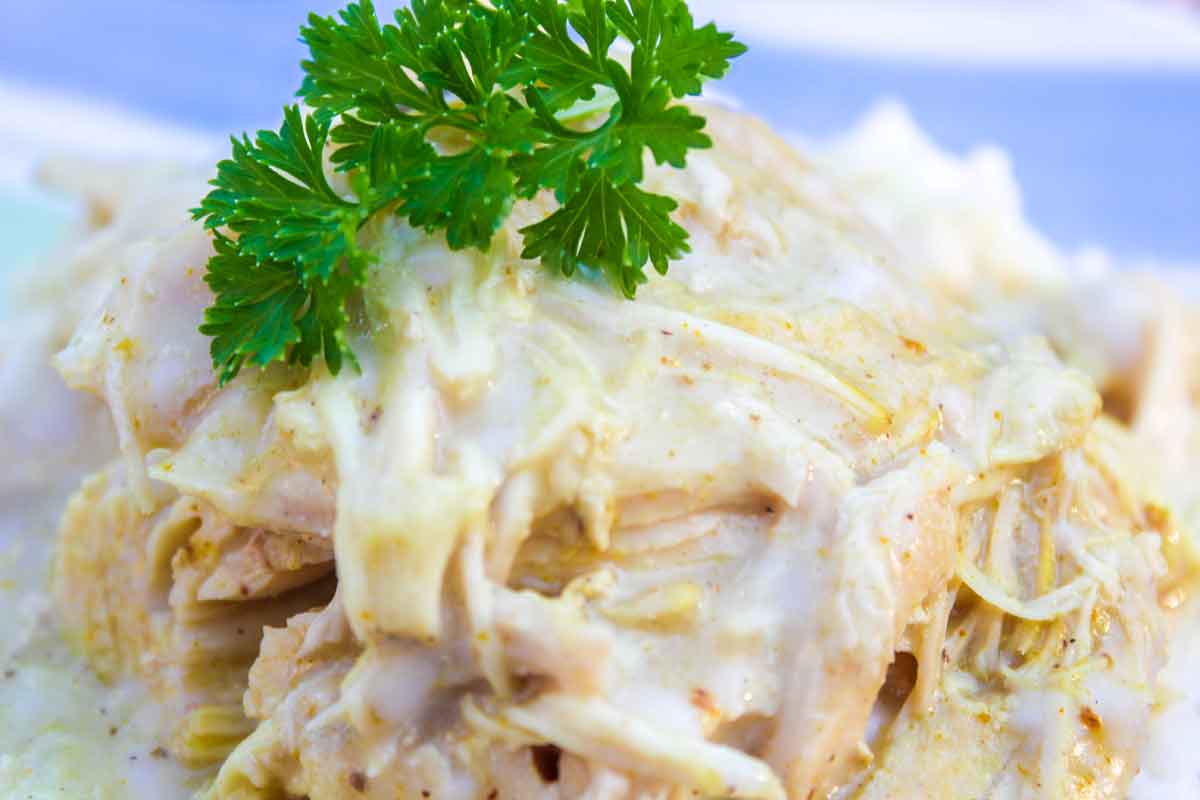 crockpot curry chicken zoomed in