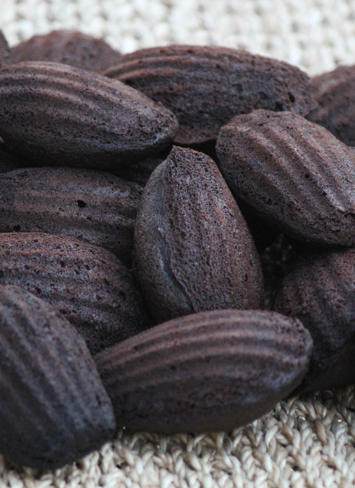 Dark Chocolate Madeleines