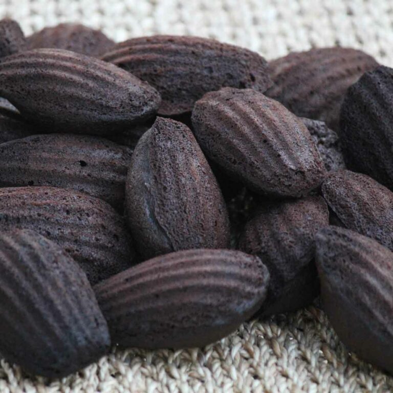 Dark Chocolate Madeleines Featured Image