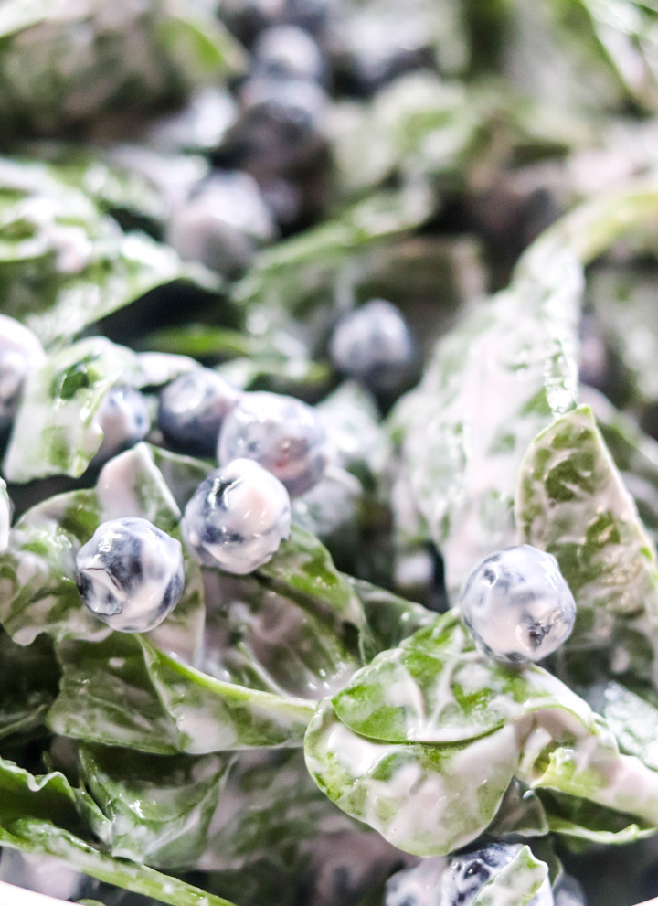 Blueberry Spinach Salad