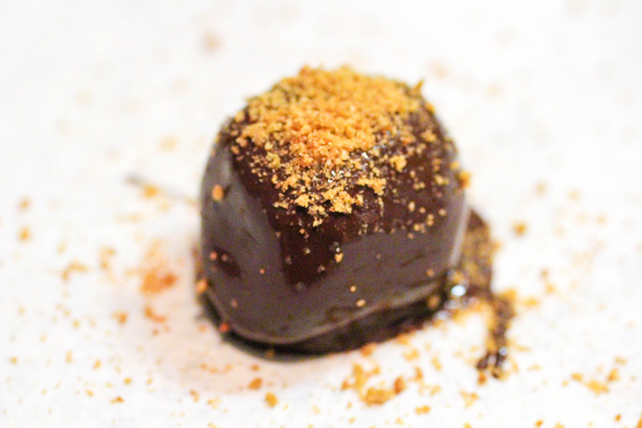 Gingerbread Truffles