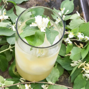 Honeysuckle iced tea featured image