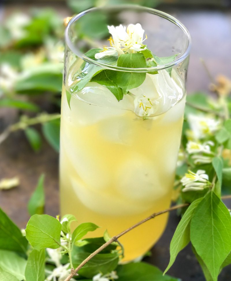 Honeysuckle Iced Tea