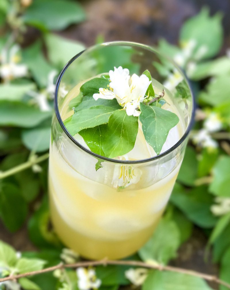 Honeysuckle Iced Tea