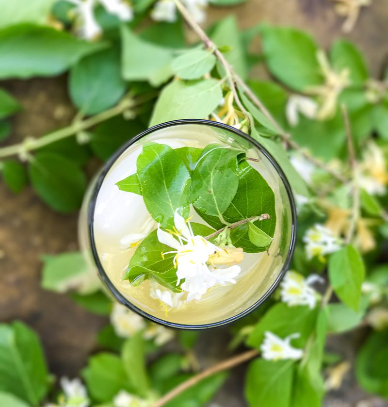 Honeysuckle Iced Tea
