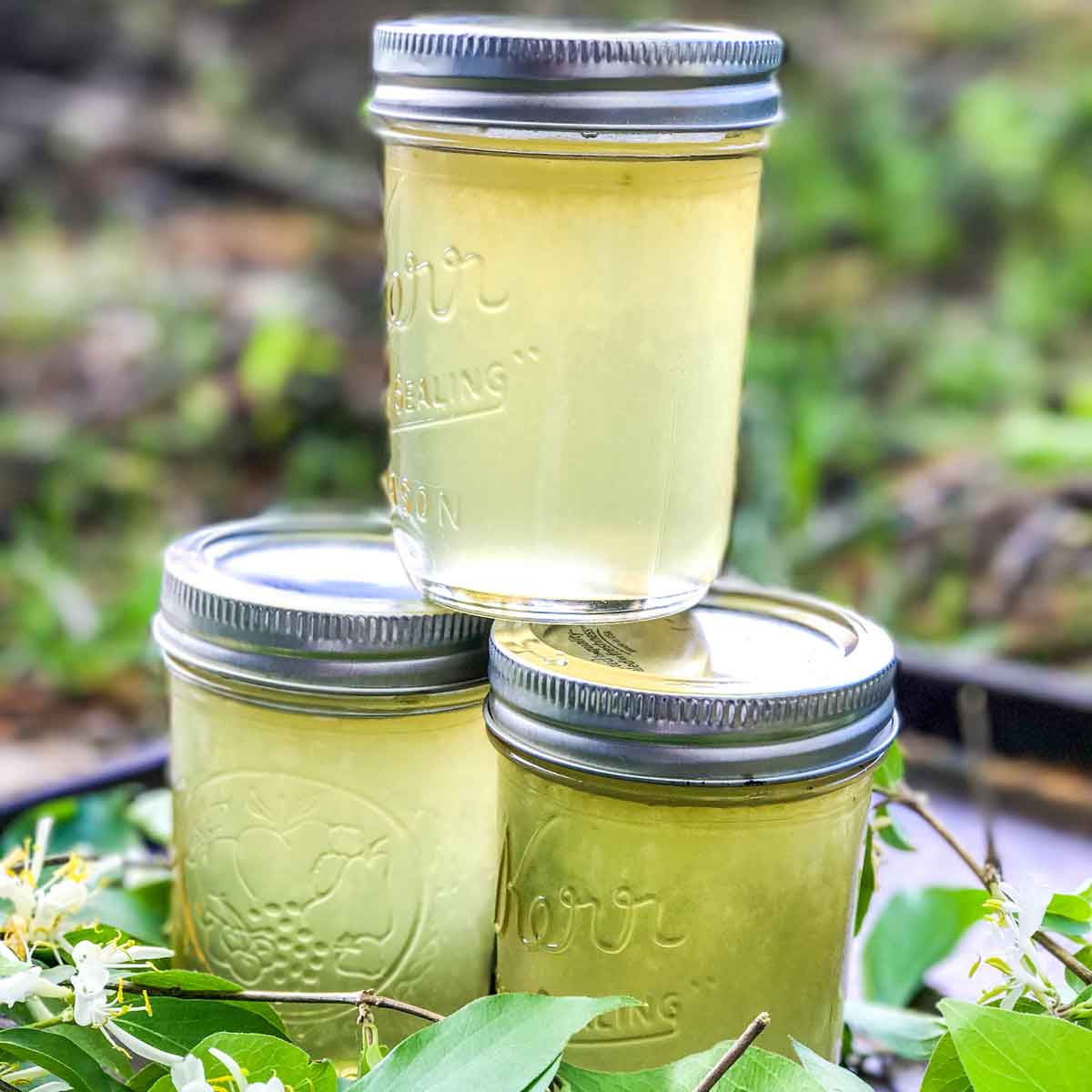 Honeysuckle Jelly Featured Image