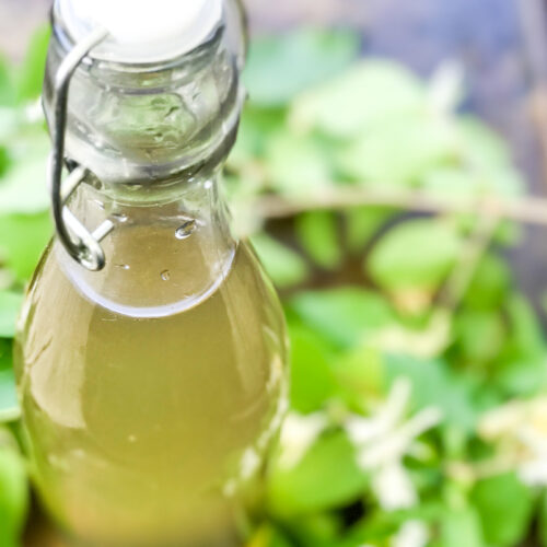 Honeysuckle Simple Syrup 1