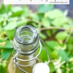 Honeysuckle Simple Syrup