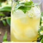 Honeysuckle Iced Tea