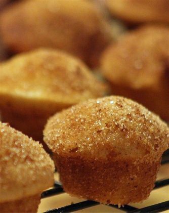 Pumpkin Pie Spice Donut Muffins