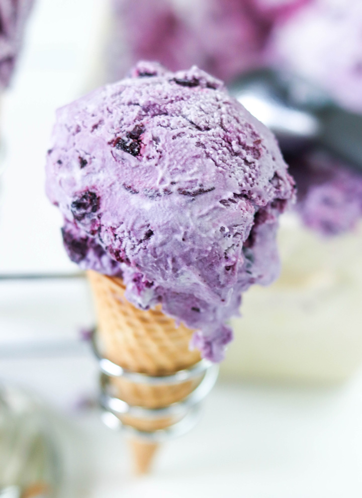No Churn Roasted Blueberry Ice Cream