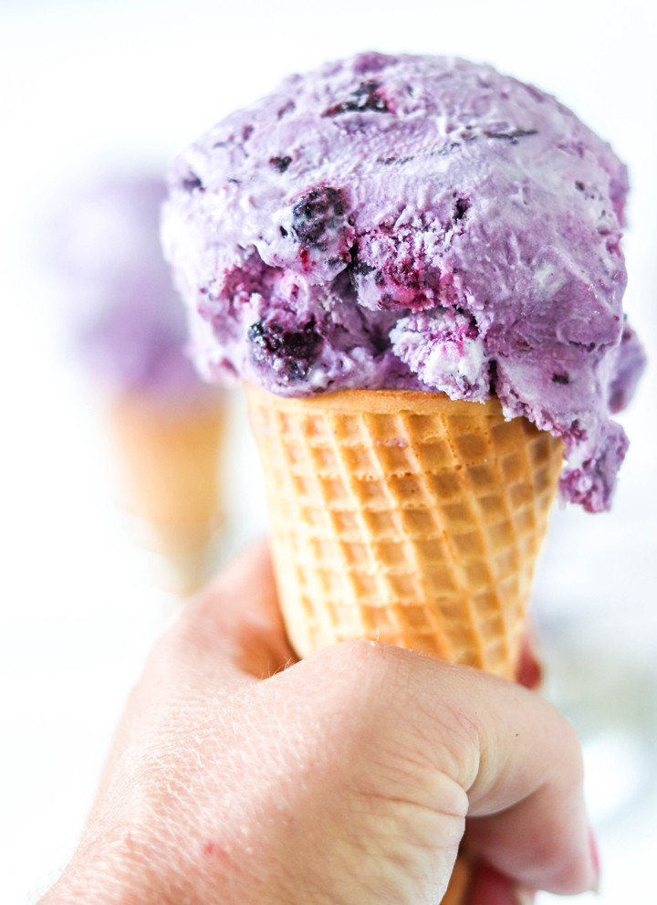 No Churn Roasted Blueberry Ice Cream