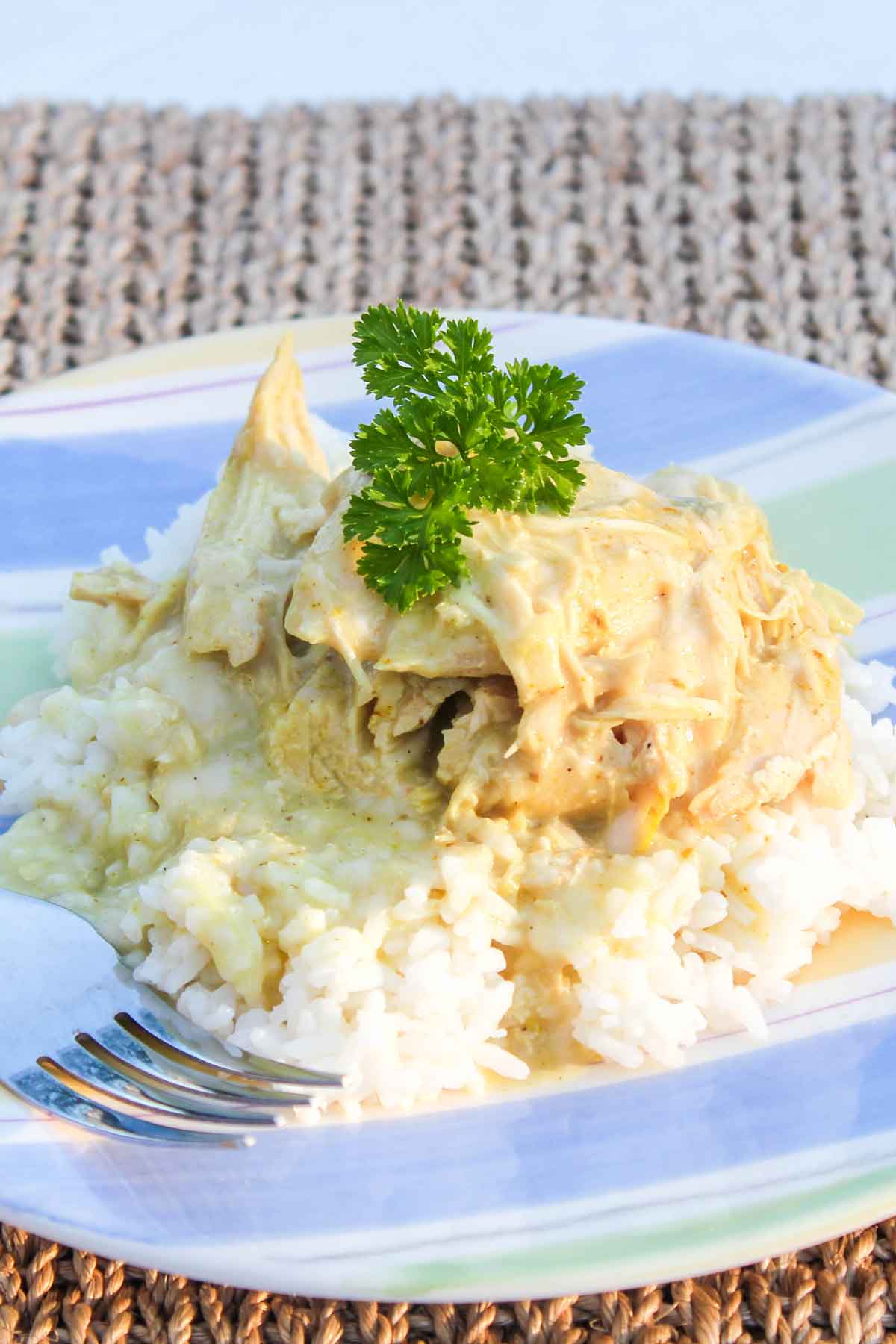 photo of slow cooker curry chicken 