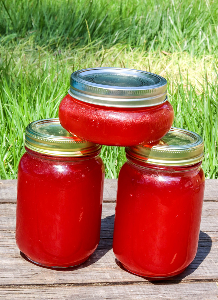 Pink Peony Jelly 