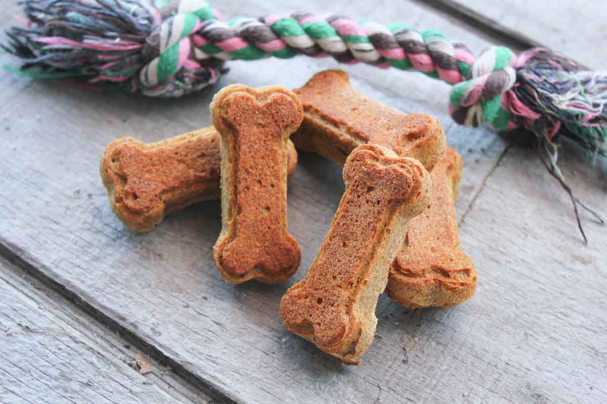 Pumpkin Peanut Butter Dog Treats - Wheat-Free
