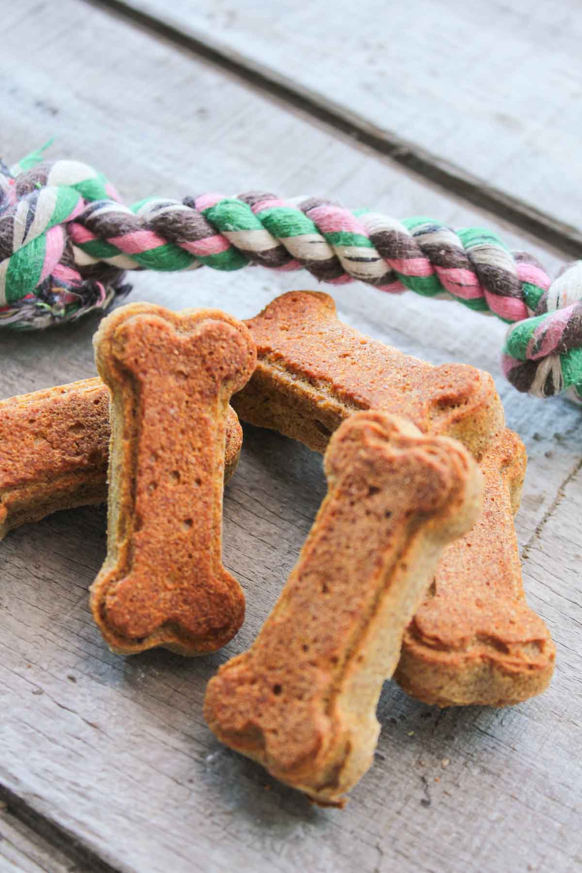 Pumpkin Peanut Butter Dog Treats - Wheat-Free