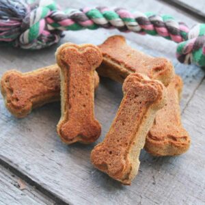 Pumpkin Peanut Butter Dog Treats - Wheat-Free
