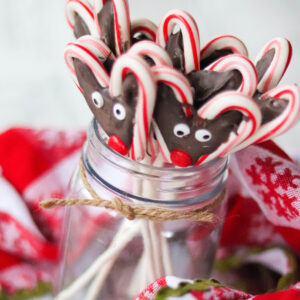 Reindeer Candy Cane Pops