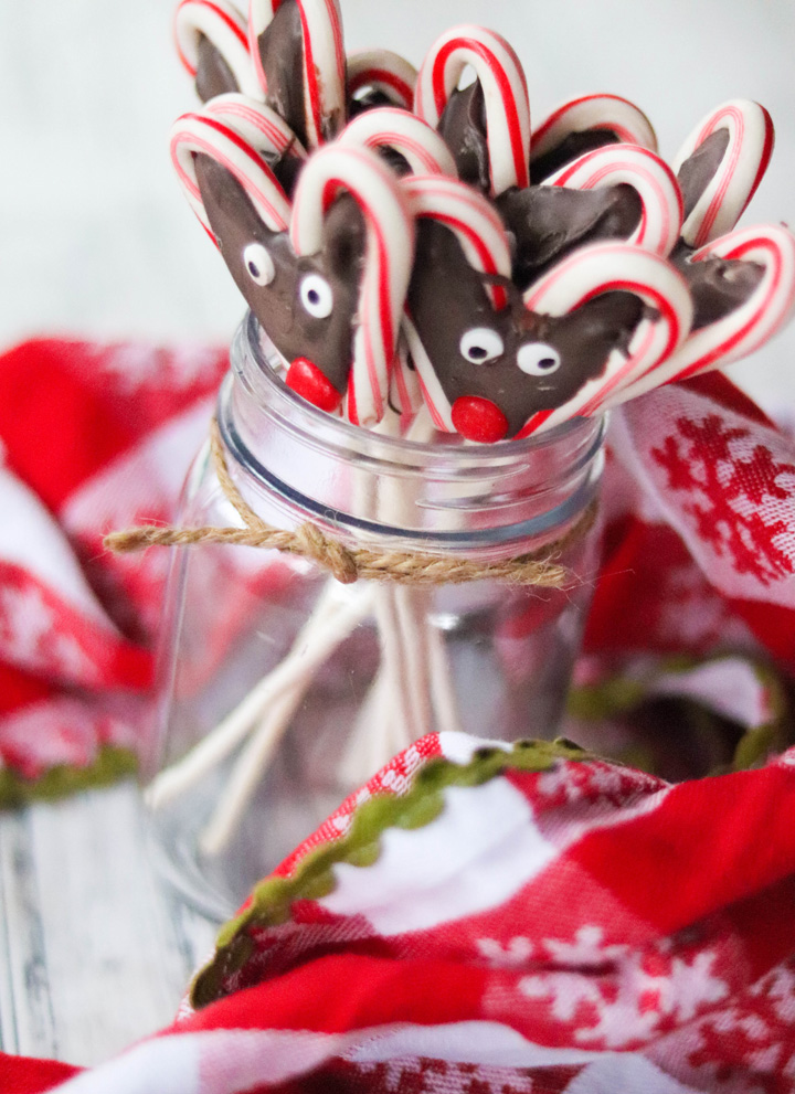 Reindeer Candy Cane Pops