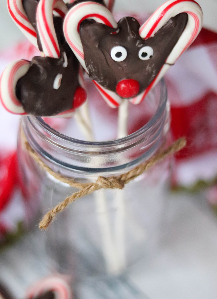 Reindeer Candy Cane Pops