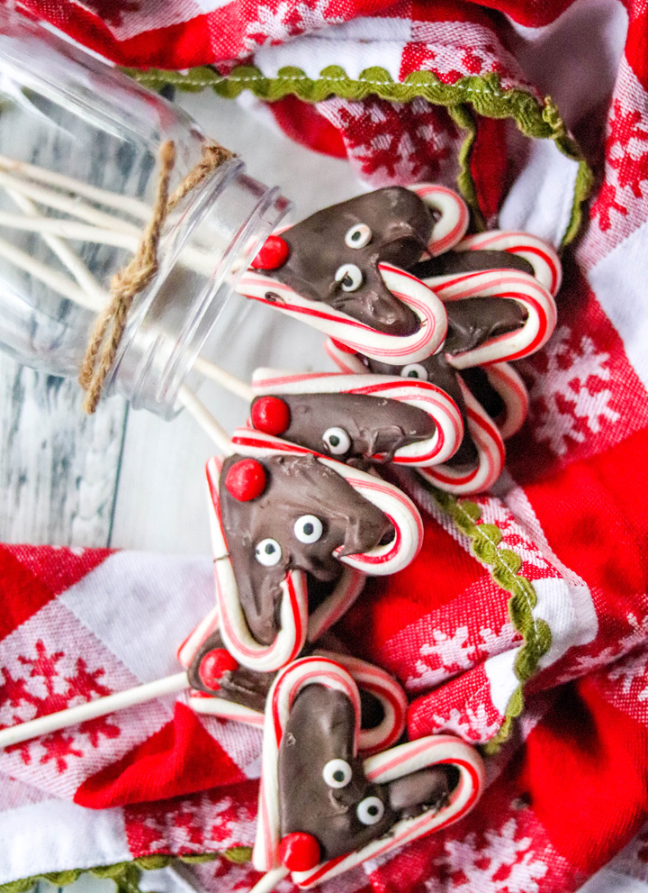 Reindeer Candy Cane Pops