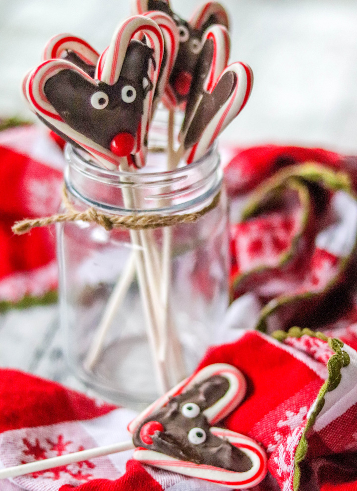 Reindeer Candy Cane Pops