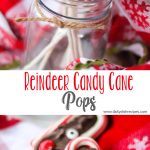 Reindeer Candy Cane Pops