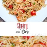 Shrimp and Orzo