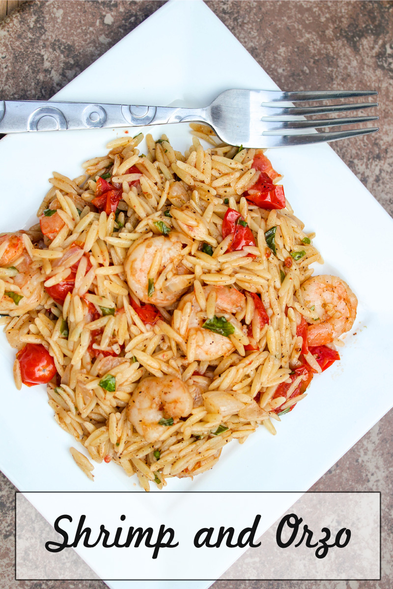 Shrimp and Orzo