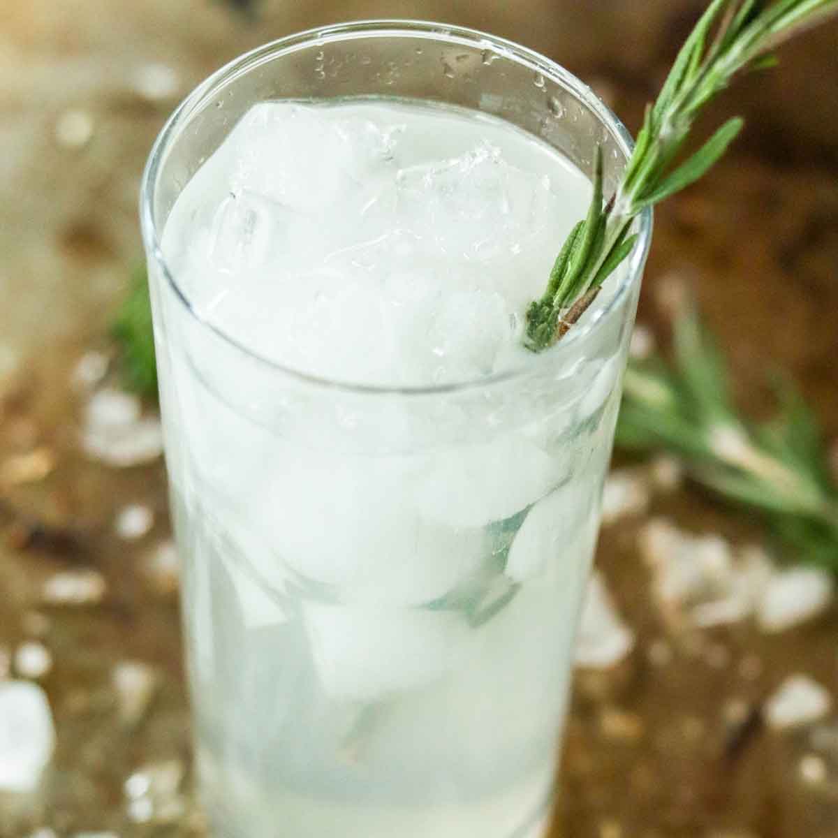 Skinny Rosemary Lime Vodka Fizz Featured Image