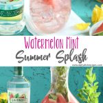 Watermelon Mint Summer Splash