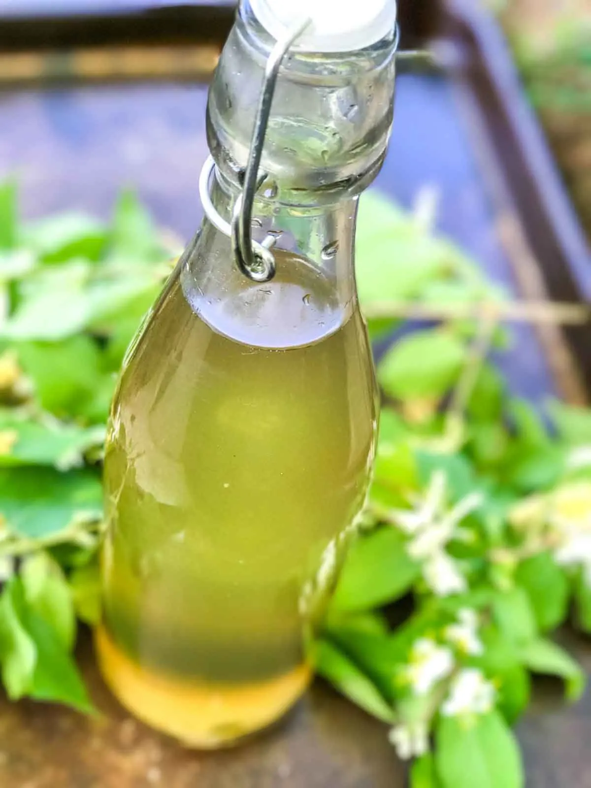 Honeysuckle Simple Syrup